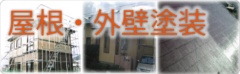 �C���[�W�摜